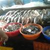 Fish For Sale At Fort Kochi